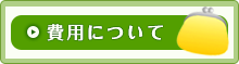 費用について